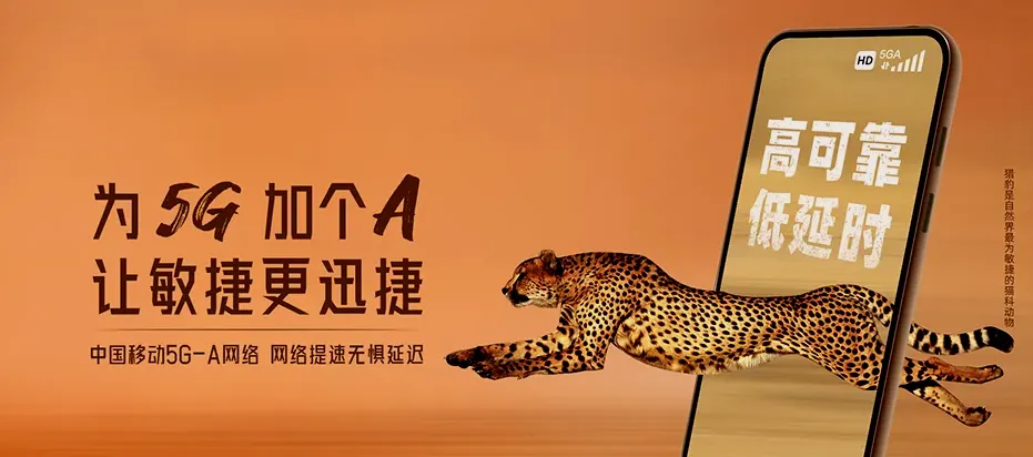 阳新县阳新县枫林镇 移动宽带