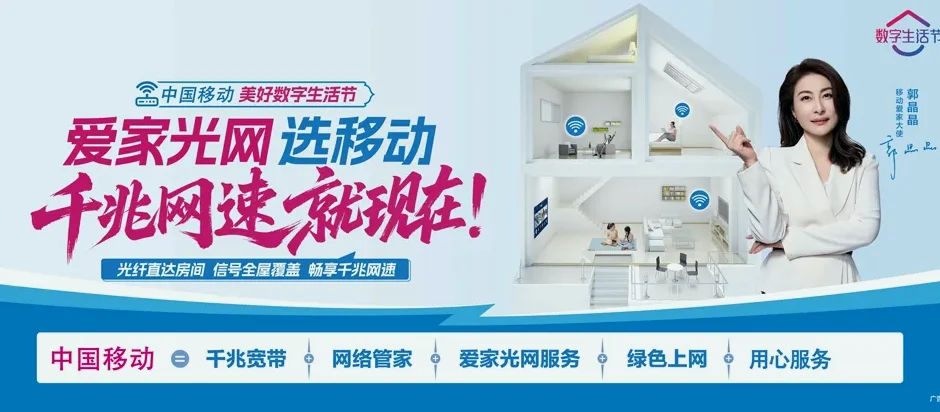 阳新县阳新县洋港镇 移动宽带